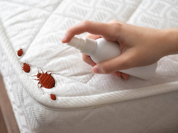 Best Best Pest Control Companies  in Brookdale, CA