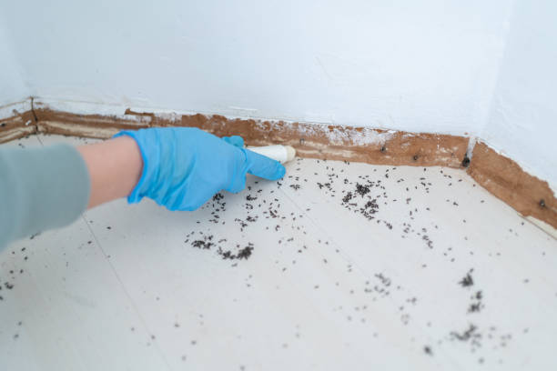 Best Best Pest Control Companies  in Brookdale, CA