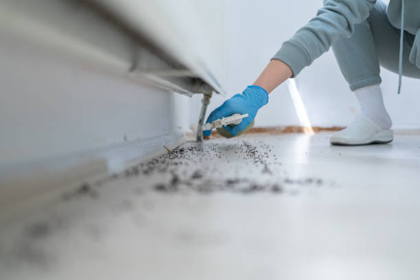 Best Mosquito Control Services  in Brookdale, CA
